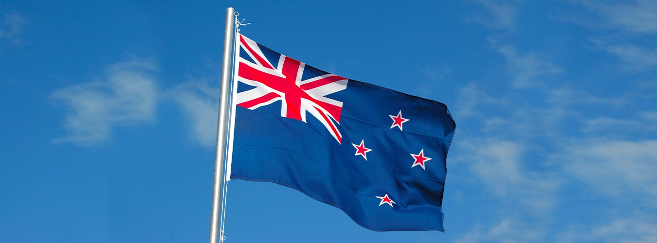 Your Step-by-Step Guide to the New Zealand Immigration Visa Application Process