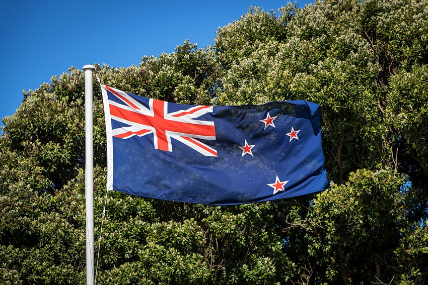 AEWV In New Plymouth