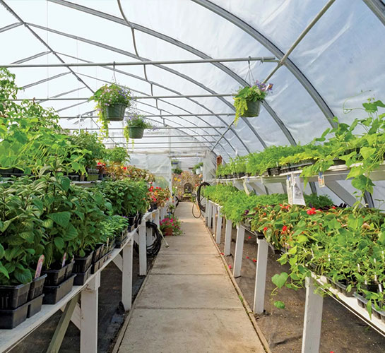 Agriculture and Horticulture 